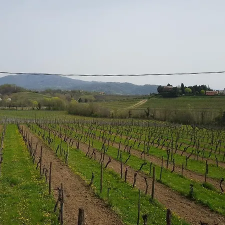 Borgo Dei Sapori *