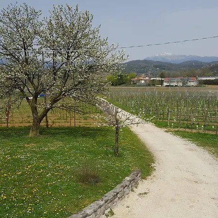 Borgo Dei Sapori Κατάλυμα σε φάρμα *